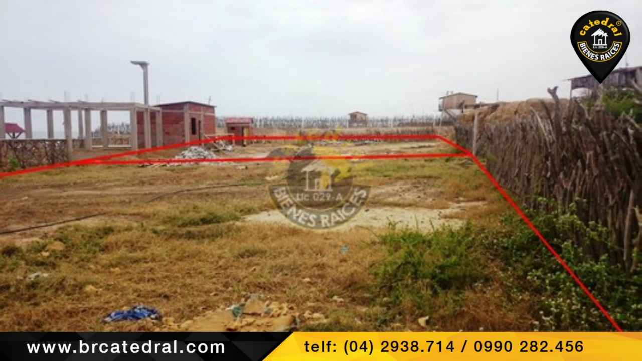 Real Estate Cathedral Apartments Houses Homes For Sale Or Rent In Cuenca Guayaquil Azogues Quito Ecuador