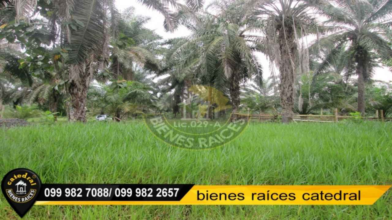 Hacienda de Venta en Quito Ecuador sector Los Ríos/ Los Ángeles vía La 14