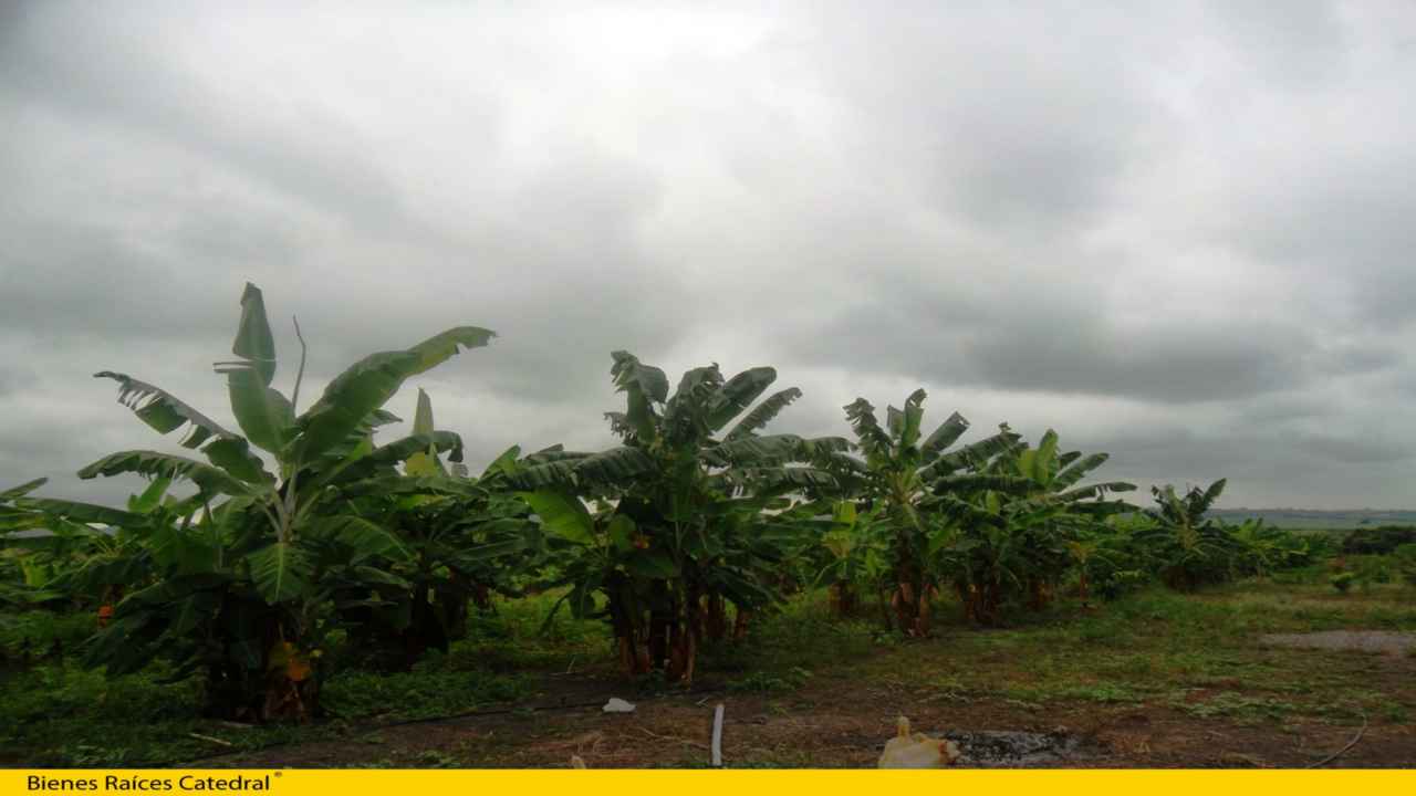 Hacienda de Venta en Guayaquil Ecuador sector Playas - Progreso