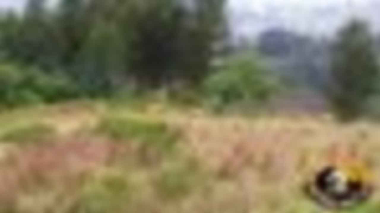 BRC