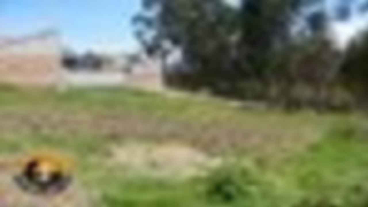 BRC