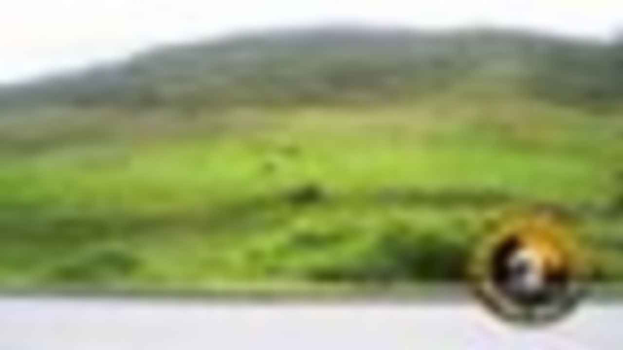 Panamericana Sur - Sector Zhucay


              
              