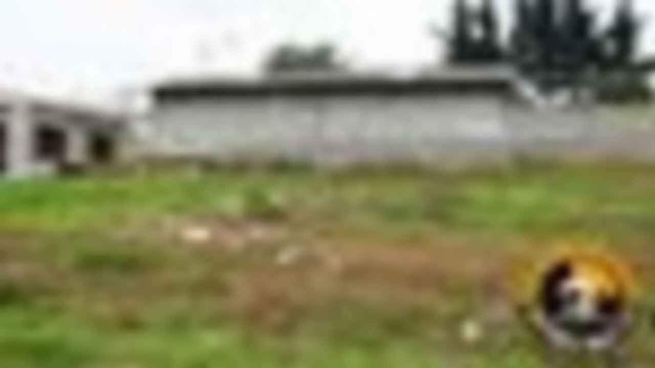 Challuabamba