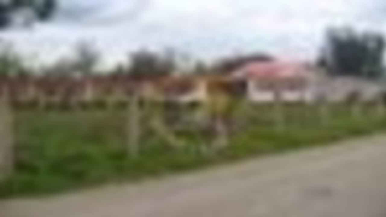 Ricaurte - Sector 4 corners              
              
              
              
              
              
              
              
              