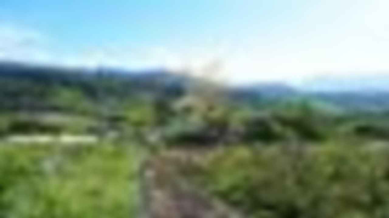 Urb El Porton, San Antonio Sector              
              
              
              
              
              
              
              
              
              
              
              
              
              