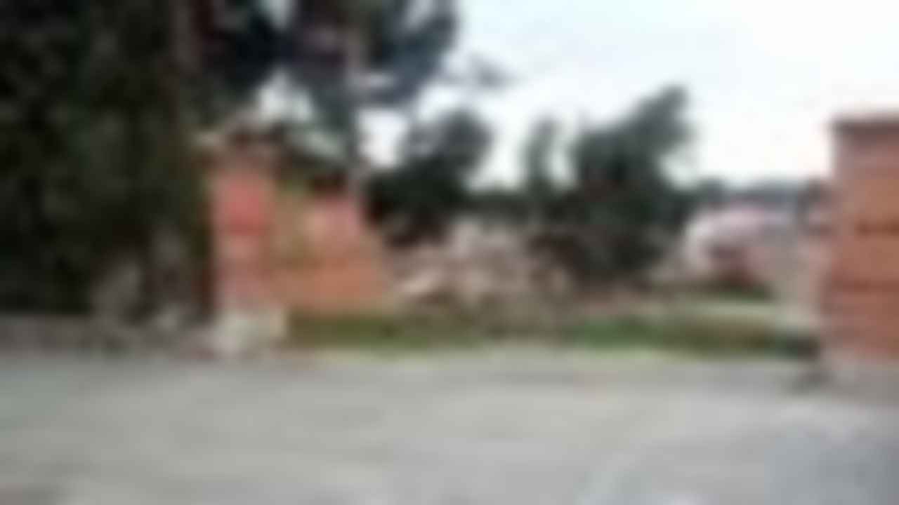 Sector Medio Ejido