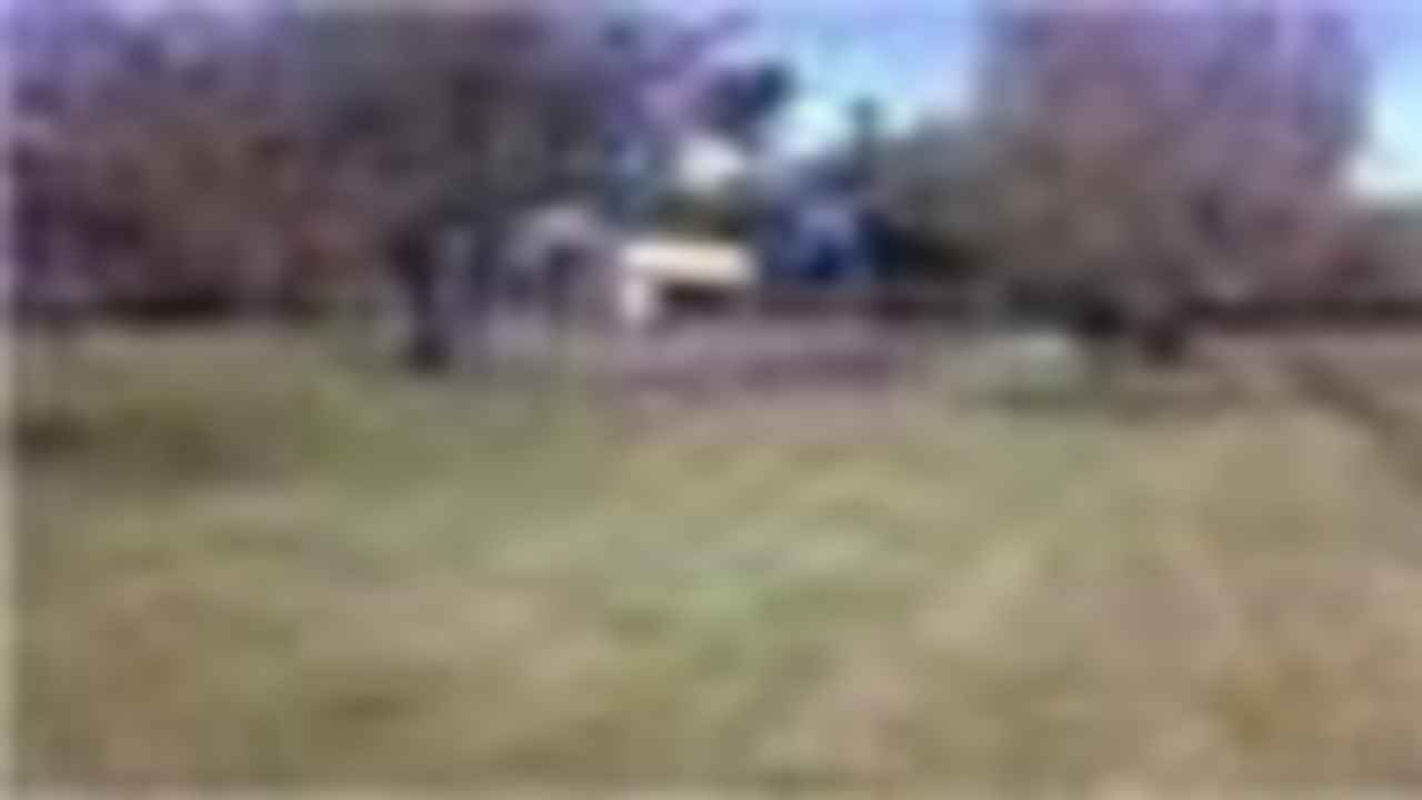 GUAYLLABAMBA - QUINTA